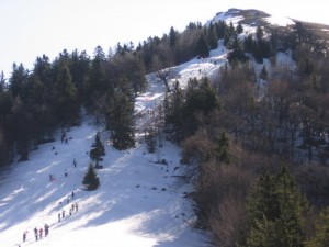 IMG_9322_resize