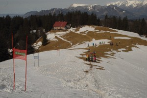 2-DSC_0564
