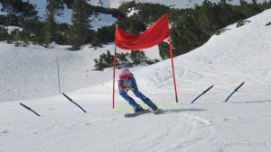 tjaša